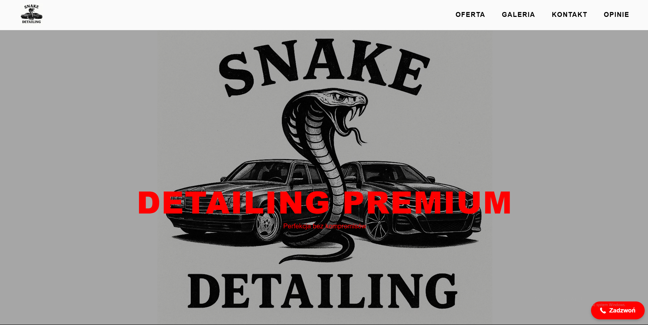 Zrzut ekranu strony snakedetailing.pl